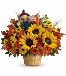 Teleflora's Smiling Scarecrow Bouquet from Designs by Dennis, florist in Kingfisher, OK